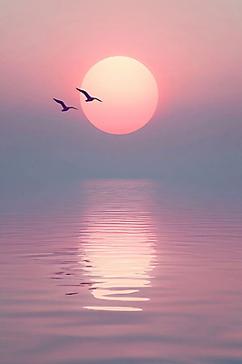 JPG 편집이미지 호수 분홍색 두마리 자연 조류 아침 풍경 사람없음 태양 반사 일출 편집실사 AI포토 AI콘텐츠 주간 자연요소 동물 컬러 2 노을 CG 생태계 파일형식