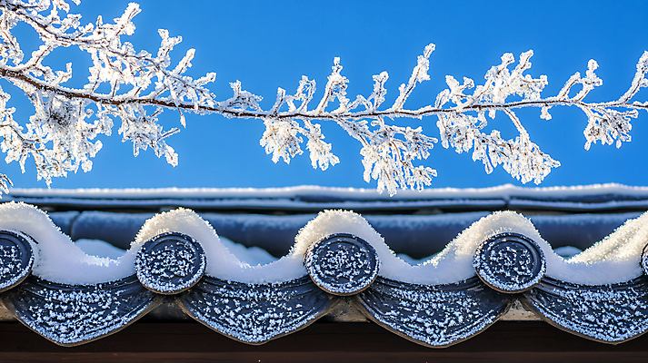 JPG 나무 편집이미지 한국전통 겨울 하늘 눈꽃 기와 사람없음 파란색 나뭇가지 눈 눈덮임 편집실사 AI포토 AI콘텐츠 자연요소 식물 전통 계절 컬러 컨셉 날씨 한국 눈_날씨 CG 파일형식
