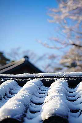 JPG 나무 편집이미지 한국전통 겨울 하늘 기와 기와집 사람없음 눈 눈덮임 편집실사 AI포토 AI콘텐츠 자연요소 식물 전통 계절 컨셉 날씨 한옥 한국 CG 파일형식