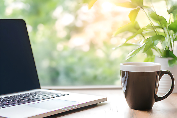 JPG 편집이미지 화분 커피 사람없음 노트북 사무실 햇빛 머그컵 책상 디지털합성 편집실사 AI포토 AI콘텐츠 음료 가구 비즈니스 컵 전자제품 태양 CG 파일형식