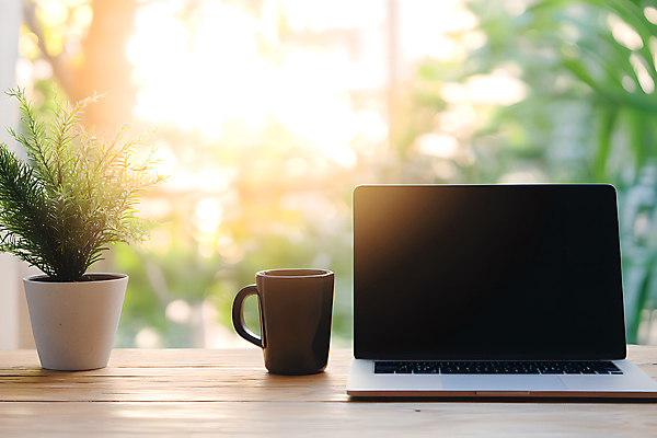 JPG 편집이미지 화분 커피 사람없음 노트북 빛 사무실 햇빛 머그컵 책상 디지털합성 편집실사 AI포토 AI콘텐츠 음료 가구 비즈니스 컵 전자제품 태양 CG 파일형식