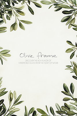 PSD 일러스트 나뭇잎 프레임 사람없음 초록색 올리브 심플 올리브열매 올리브잎 카피스페이스 국내일러스트 열매 컬러 잎 공백 파일형식