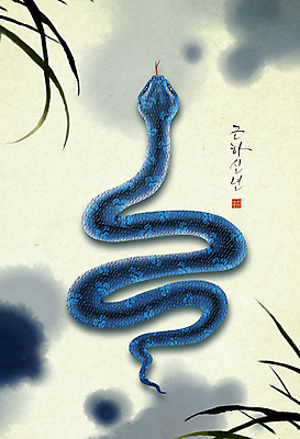 PSD 일러스트 근하신년 새해 수묵화 사람없음 파란색 물감 풀 뱀띠 뱀 번짐 2025년 을사년 국내일러스트 푸른뱀 식물 컬러 파충류 미술 미술도구 십이지신 연도 파일형식 효과
