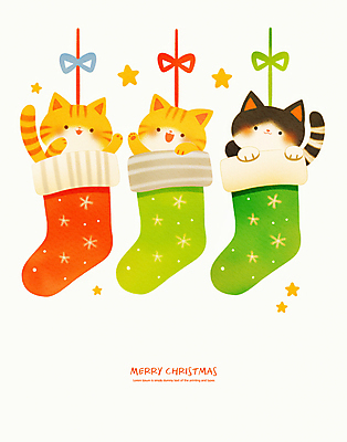 PSD 행복 별 리본 줄 크리스마스 일러스트 미소 사람없음 장식 반짝임 손들기 고양이 크리스마스양말 산타양말 국내일러스트 자연요소 기념일 감정 크리스마스장식 포유류 모션 양말 표정 반려동물 파일형식