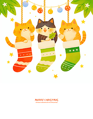 PSD 행복 잎 크리스마스 일러스트 미소 들기 사람없음 장식 반짝임 손들기 고양이 크리스마스양말 산타양말 오너먼트 국내일러스트 식물 기념일 감정 크리스마스장식 포유류 모션 양말 표정 반려동물 파일형식