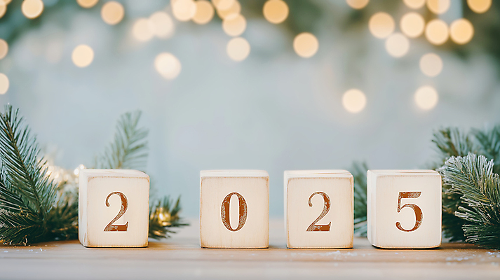 JPG 편집이미지 겨울 조명 새해 사람없음 빛 반짝임 숫자 나뭇가지 풀 큐브 보케 연말 연초 나무블록 2025년 을사년 편집실사 AI포토 AI콘텐츠 나무 식물 문자 계절 모션 목재 블록 연도 CG 파일형식