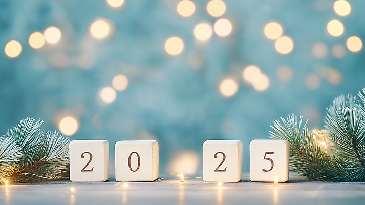 JPG 편집이미지 겨울 조명 새해 사람없음 빛 반짝임 숫자 나뭇가지 풀 큐브 보케 연말 연초 나무블록 2025년 을사년 편집실사 AI포토 AI콘텐츠 나무 식물 문자 계절 모션 목재 블록 연도 CG 파일형식