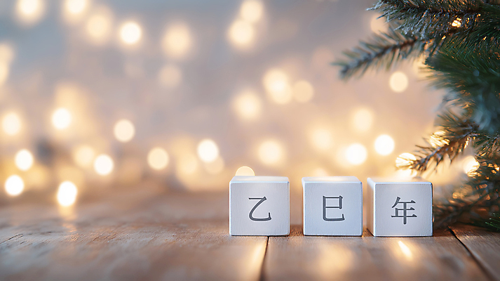 JPG 편집이미지 겨울 조명 새해 사람없음 빛 반짝임 한자 블록 나뭇가지 풀 큐브 나무바닥 보케 연말 연초 2025년 을사년 편집실사 AI포토 AI콘텐츠 나무 식물 문자 계절 모션 바닥 연도 CG 파일형식