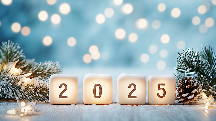 JPG 편집이미지 겨울 조명 새해 사람없음 빛 반짝임 숫자 블록 나뭇가지 눈 풀 큐브 보케 솔방울 연말 연초 2025년 을사년 편집실사 AI포토 AI콘텐츠 자연요소 나무 식물 문자 계절 모션 날씨 연도 CG 파일형식