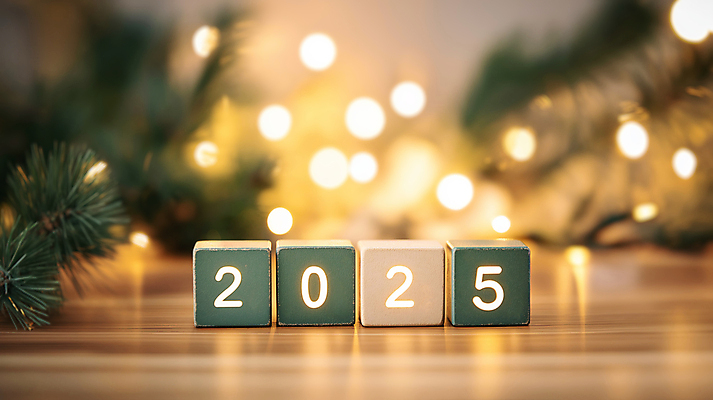 JPG 편집이미지 겨울 조명 새해 사람없음 빛 반짝임 숫자 나뭇가지 풀 큐브 보케 연말 연초 나무블록 2025년 을사년 편집실사 AI포토 AI콘텐츠 나무 식물 문자 계절 모션 목재 블록 연도 CG 파일형식