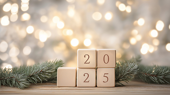 JPG 편집이미지 겨울 나뭇잎 조명 새해 사람없음 빛 반짝임 숫자 쌓기 풀 큐브 보케 연말 연초 나무블록 2025년 을사년 편집실사 AI포토 AI콘텐츠 식물 문자 계절 잎 모션 목재 블록 연도 CG 파일형식