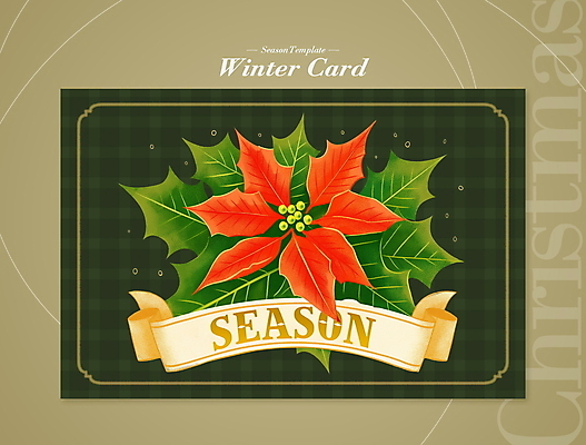 PSD 편집이미지 리본 잎 크리스마스 겨울 프레임 이벤트 사람없음 빨간색 초록색 디지털합성 레이아웃 포인세티아 편집소스 이미지편집 식물 계절 기념일 꽃 컬러 파일형식