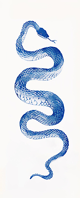 JPG 한마리 전통 일러스트 붓터치 새해 수묵화 사람없음 파란색 십이지신 뱀띠 동양화 번짐 을사년 국내일러스트 푸른뱀 AI일러스트 AI콘텐츠 1 컬러 미술 뱀 파일형식 2025년 효과