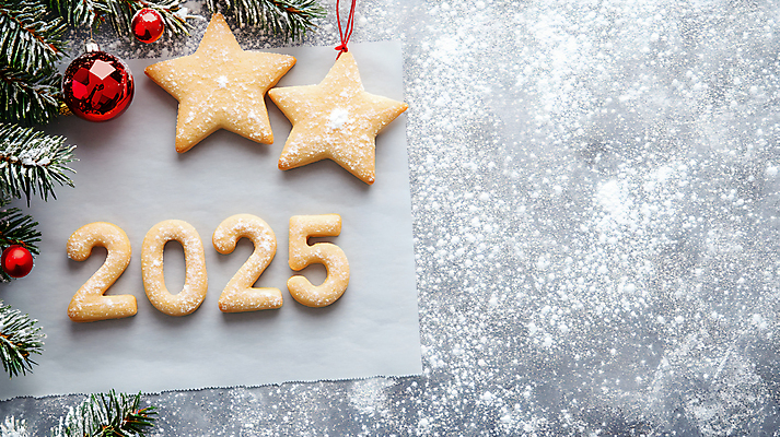 JPG 편집이미지 별 새해 사람없음 숫자 쿠키 해피뉴이어 솔잎 슈가파우더 오너먼트 2025년 을사년 편집실사 AI포토 AI콘텐츠 자연요소 문자 잎 크리스마스장식 디저트 새해인사 연도 CG 파일형식