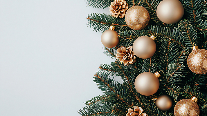 기념일 잎 크리스마스장식 CG 파일형식 AI콘텐츠 솔방울 솔잎 사람없음 디지털합성 크리스마스 오너먼트 장식 JPG 편집이미지 편집실사 AI포토