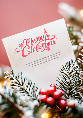 PSD 편집이미지 열매 행복 종이 분홍색 크리스마스 눈꽃 타이포그라피 사람없음 기쁨 보케 솔잎 이미지편집 카드프레임 식물 문자 기념일 감정 컬러 잎 프레임 눈_날씨 파일형식