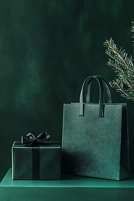 JPG 편집이미지 사람없음 초록색 선물상자 쇼핑 쇼핑백 상품 디지털합성 솔잎 편집실사 AI포토 AI콘텐츠 컬러 잎 가방 선물 상자 CG 파일형식