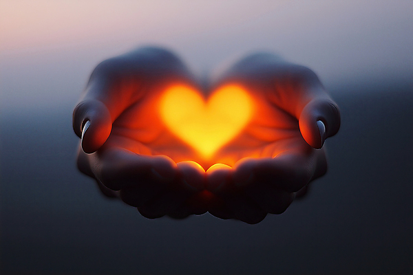 JPG 편집이미지 손 따뜻함 신체부위 빛 평화 어둠 하트 마음 손모으기 온기 편집실사 AI인물포토 AI콘텐츠 모양 컨셉 사람 손짓 CG 파일형식 AI포토