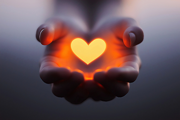 JPG 편집이미지 손 따뜻함 신체부위 빛 평화 어둠 하트 마음 손모으기 온기 편집실사 AI인물포토 AI콘텐츠 모양 컨셉 사람 손짓 CG 파일형식 AI포토