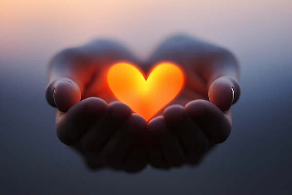 JPG 편집이미지 손 따뜻함 신체부위 빛 평화 어둠 하트 마음 손모으기 온기 편집실사 AI인물포토 AI콘텐츠 모양 컨셉 사람 손짓 CG 파일형식 AI포토