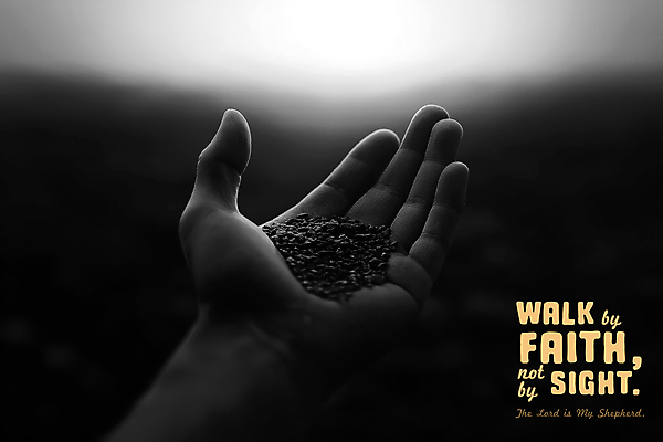 PSD 편집이미지 손 흑백 들기 신체부위 빛 평화 믿음 어둠 흙 기도 손내밀기 이미지편집 편집실사 감정 컨셉 모션 촬영기법 사람 손짓 CG 파일형식