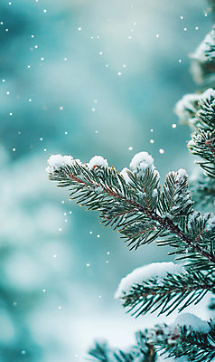 JPG 편집이미지 설경 겨울 사람없음 초록색 나뭇가지 눈 소나무 숲 솔잎 눈내림 눈덮임 편집실사 AI포토 AI콘텐츠 자연요소 나무 계절 컬러 컨셉 잎 날씨 눈_날씨 풍경 CG 파일형식