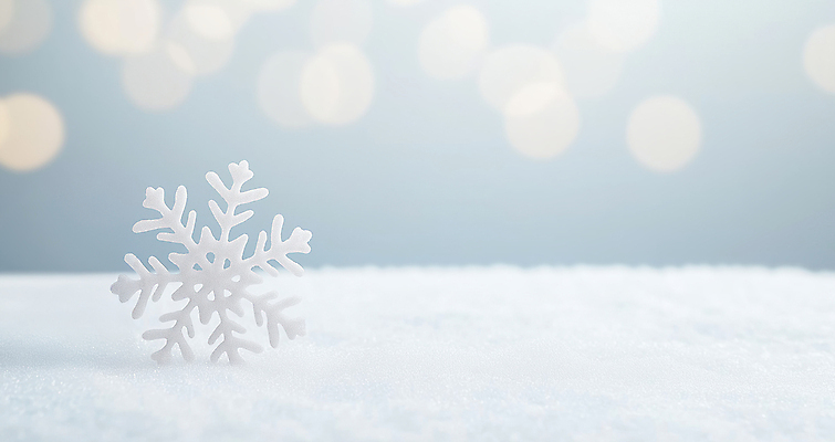 JPG 편집이미지 겨울 눈꽃 사람없음 흰색 눈 눈송이 서리 보케 쌓인눈 편집실사 AI포토 AI콘텐츠 자연요소 계절 컬러 날씨 눈_날씨 CG 파일형식