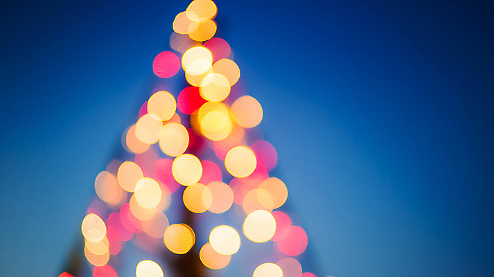 계절 기념일 컬러 크리스마스 촬영기법 CG 파일형식 AI콘텐츠 파란색 실루엣 보케 크리스마스트리 겨울 JPG 편집이미지 사람없음 편집실사 AI포토