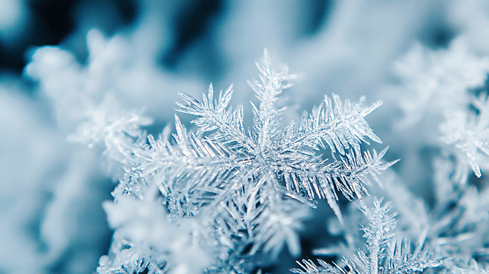 JPG 편집이미지 겨울 눈꽃 근접촬영 사람없음 눈 눈송이 디지털합성 편집실사 AI포토 AI콘텐츠 자연요소 계절 뷰포인트 날씨 눈_날씨 CG 파일형식