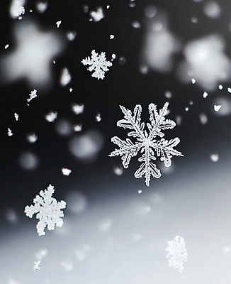 JPG 편집이미지 겨울 눈꽃 근접촬영 사람없음 눈 눈송이 디지털합성 편집실사 AI포토 AI콘텐츠 자연요소 계절 뷰포인트 날씨 눈_날씨 CG 파일형식