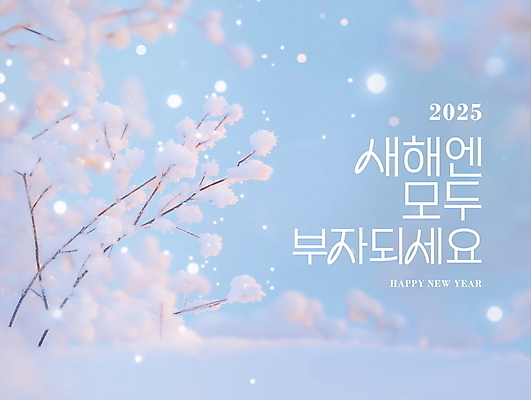 PSD 편집이미지 겨울 자연 새해 풍경 사람없음 새해인사 눈 부자 메시지 디지털합성 해피뉴이어 쌓인눈 눈내림 편집소스 2025년 을사년 이미지편집 자연요소 계절 컨셉 날씨 눈_날씨 인사 연도 생태계 파일형식