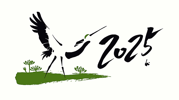 한마리 명절 꽃 일러스트 캘리그라피 새해 타이포그라피 사람없음 초록색 검은색 학 동양화 날갯짓 2025년 을사년 국내일러스트 AI파일 식물 문자 1 전통 기념일 컬러 조류 미술 연도 파일형식 벡터