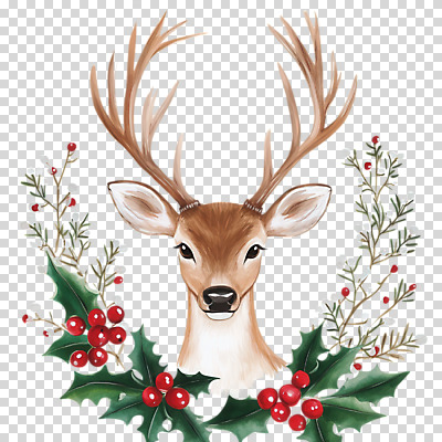 편집이미지 잎 크리스마스 사슴 누끼 사람없음 PNG 사슴뿔 호랑가시나무열매 식물 기념일 열매 포유류 뿔 파일형식