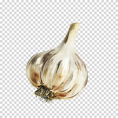 편집이미지 채소 수채화 마늘 누끼 사람없음 번짐 PNG 베이지색 컬러 파일형식 효과