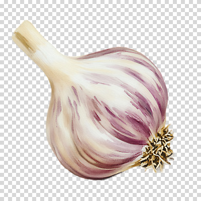 편집이미지 채소 수채화 마늘 누끼 사람없음 번짐 PNG 베이지색 컬러 파일형식 효과