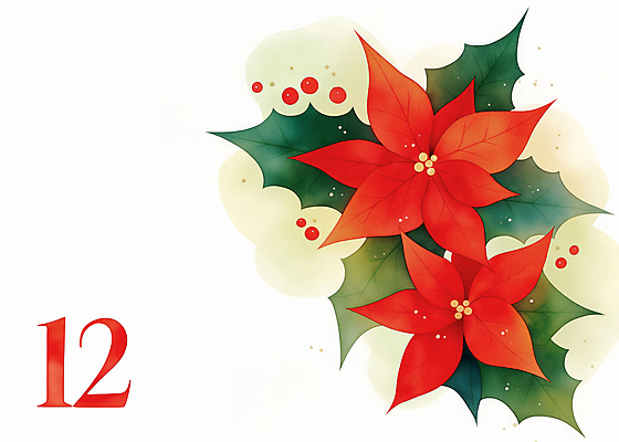 JPG 열매 꽃 잎 크리스마스 겨울 일러스트 사람없음 장식 빨간색 초록색 화려 12월 포인세티아 12 국내일러스트 AI일러스트 AI콘텐츠 식물 계절 기념일 컬러 컨셉 숫자 날짜 파일형식