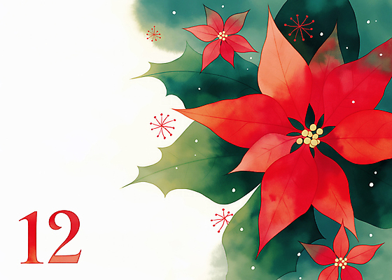 JPG 꽃 잎 크리스마스 겨울 일러스트 사람없음 빨간색 초록색 12월 포인세티아 12 국내일러스트 AI일러스트 AI콘텐츠 식물 계절 기념일 컬러 숫자 날짜 파일형식