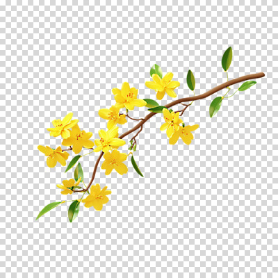 편집이미지 나뭇잎 누끼 사람없음 3D 나뭇가지 개나리 입체 PNG 나무 꽃 잎 디지털합성 파일형식