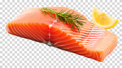 편집이미지 누끼 사람없음 레몬 연어 로즈메리 PNG 연어회 과일 어류 생선회 허브 파일형식