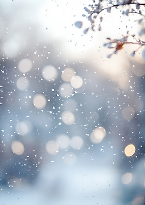 JPG 편집이미지 겨울 자연 사람없음 흰색 나뭇가지 눈 보케 편집실사 AI포토 AI콘텐츠 자연요소 나무 계절 컬러 날씨 CG 생태계 파일형식