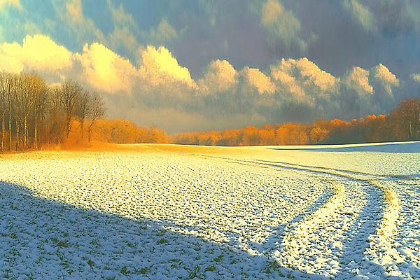 JPG 나무 구름 겨울 일러스트 자연 하늘 초원 사람없음 노을 설원 숲 눈길 국내일러스트 AI일러스트 AI콘텐츠 자연요소 식물 계절 길 눈_날씨 생태계 파일형식