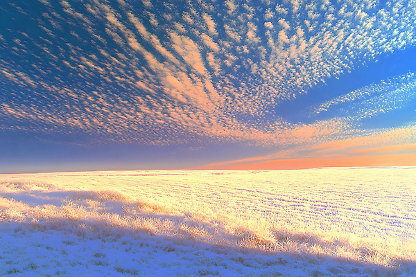 JPG 구름 겨울 일러스트 자연 하늘 초원 사람없음 노을 설원 국내일러스트 AI일러스트 AI콘텐츠 자연요소 계절 눈_날씨 생태계 파일형식