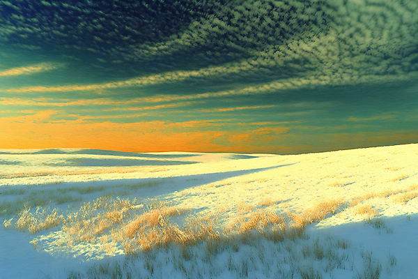 JPG 구름 겨울 일러스트 자연 하늘 초원 사람없음 노을 설원 풀 국내일러스트 AI일러스트 AI콘텐츠 자연요소 식물 계절 눈_날씨 생태계 파일형식