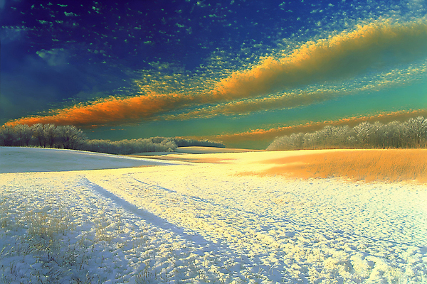 JPG 나무 구름 겨울 일러스트 자연 하늘 초원 사람없음 노을 설원 숲 눈길 국내일러스트 AI일러스트 AI콘텐츠 자연요소 식물 계절 길 눈_날씨 생태계 파일형식