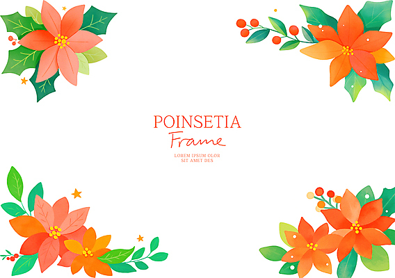 PSD 열매 크리스마스 일러스트 사람없음 빨간색 포인세티아 꽃프레임 카피스페이스 세련 국내일러스트 식물 기념일 꽃 컬러 프레임 공백 파일형식