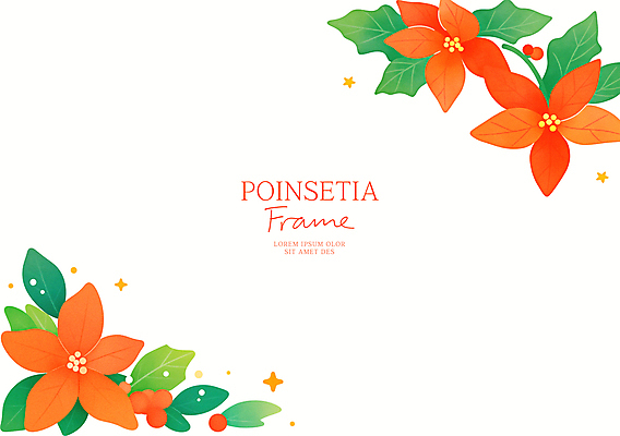 PSD 열매 크리스마스 일러스트 사람없음 빨간색 포인세티아 꽃프레임 카피스페이스 세련 국내일러스트 식물 기념일 꽃 컬러 프레임 공백 파일형식