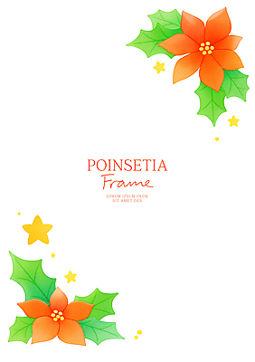 PSD 열매 크리스마스 일러스트 사람없음 빨간색 포인세티아 꽃프레임 카피스페이스 세련 국내일러스트 식물 기념일 꽃 컬러 프레임 공백 파일형식