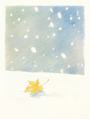 JPG 낙엽 일러스트 색연필 사람없음 파란색 눈 감성 쌓인눈 눈내림 겨울풍경 국내일러스트 AI일러스트 AI콘텐츠 자연요소 컬러 컨셉 잎 겨울 날씨 학용품 눈_날씨 풍경 파일형식