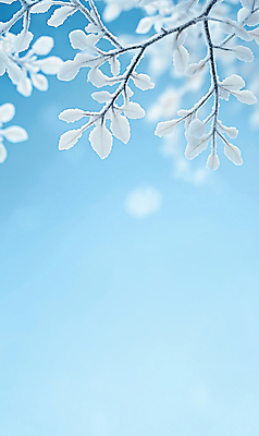 JPG 편집이미지 백그라운드 잎 설경 겨울 하늘 사람없음 파란색 눈 서리 보케 쌓인눈 카피스페이스 편집실사 AI포토 AI콘텐츠 자연요소 식물 계절 컬러 날씨 풍경 공백 CG 파일형식