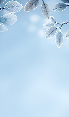 JPG 편집이미지 백그라운드 잎 설경 겨울 하늘 사람없음 파란색 눈 서리 보케 쌓인눈 카피스페이스 편집실사 AI포토 AI콘텐츠 자연요소 식물 계절 컬러 날씨 풍경 공백 CG 파일형식